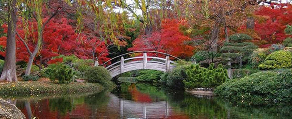 we are 20 mins away from Fort Worth Botanic Garden