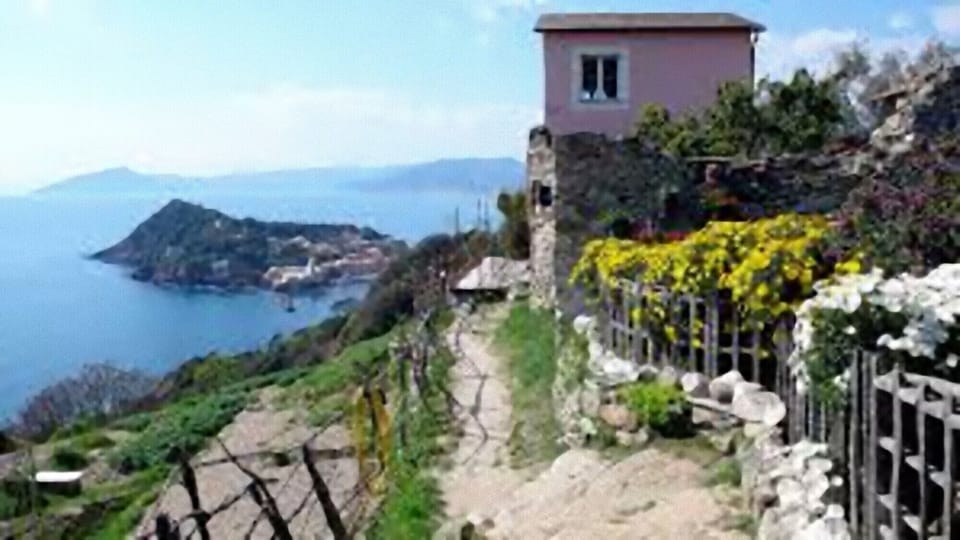 Punta manara