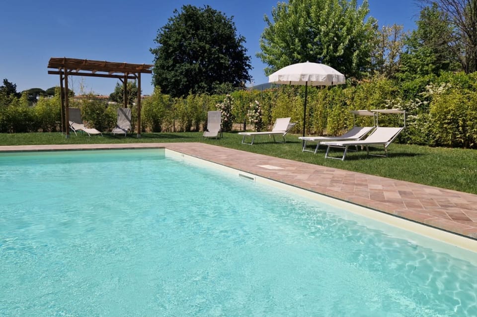 Water, Plant, Sky, Property, Swimming Pool, Azure, Tree, Shade, Rectangle, Outdoor Furniture