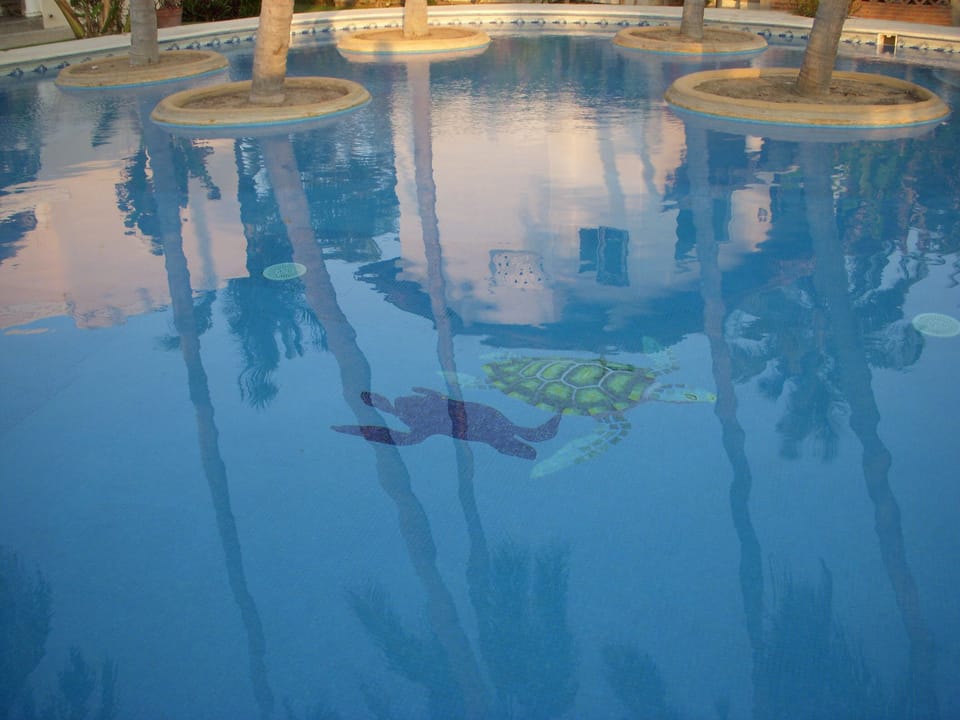 Ahhhhhh! Relaxing pool water! The turtle is made of tile.