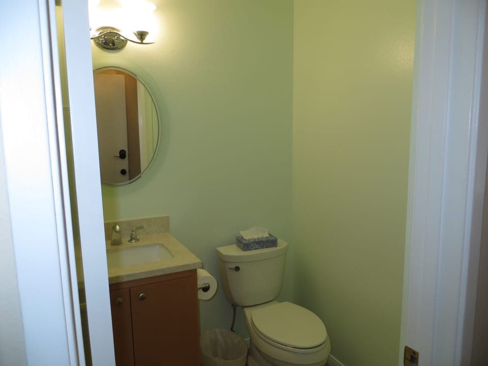 Down Stairs Bathroom