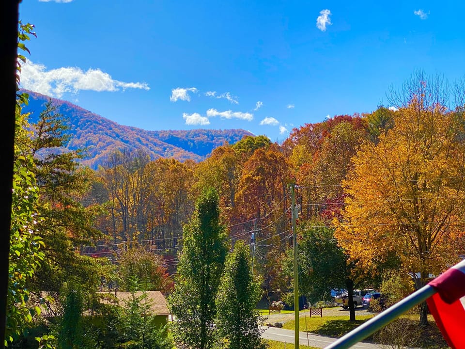 View from main deck Fall 2020