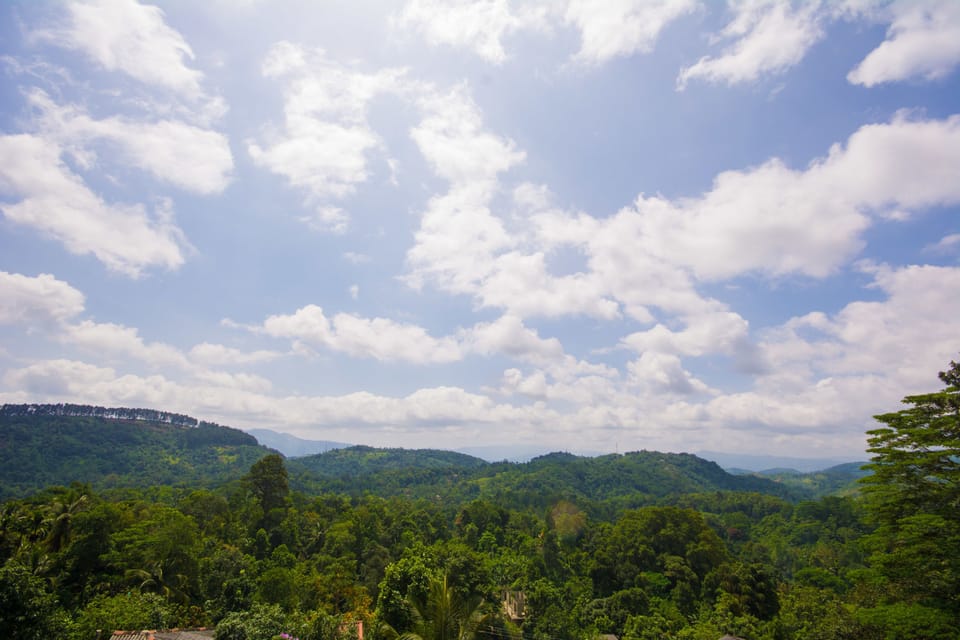 Standard Double Room | Mountain view