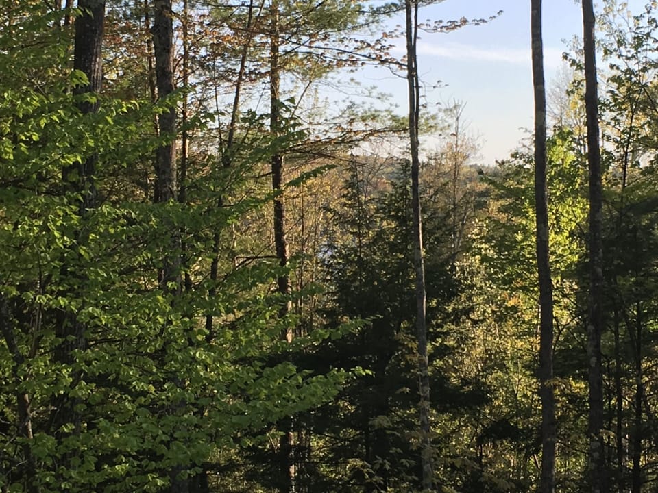 3 acres of woods sourounding the property,  very quiet can just see the lake 