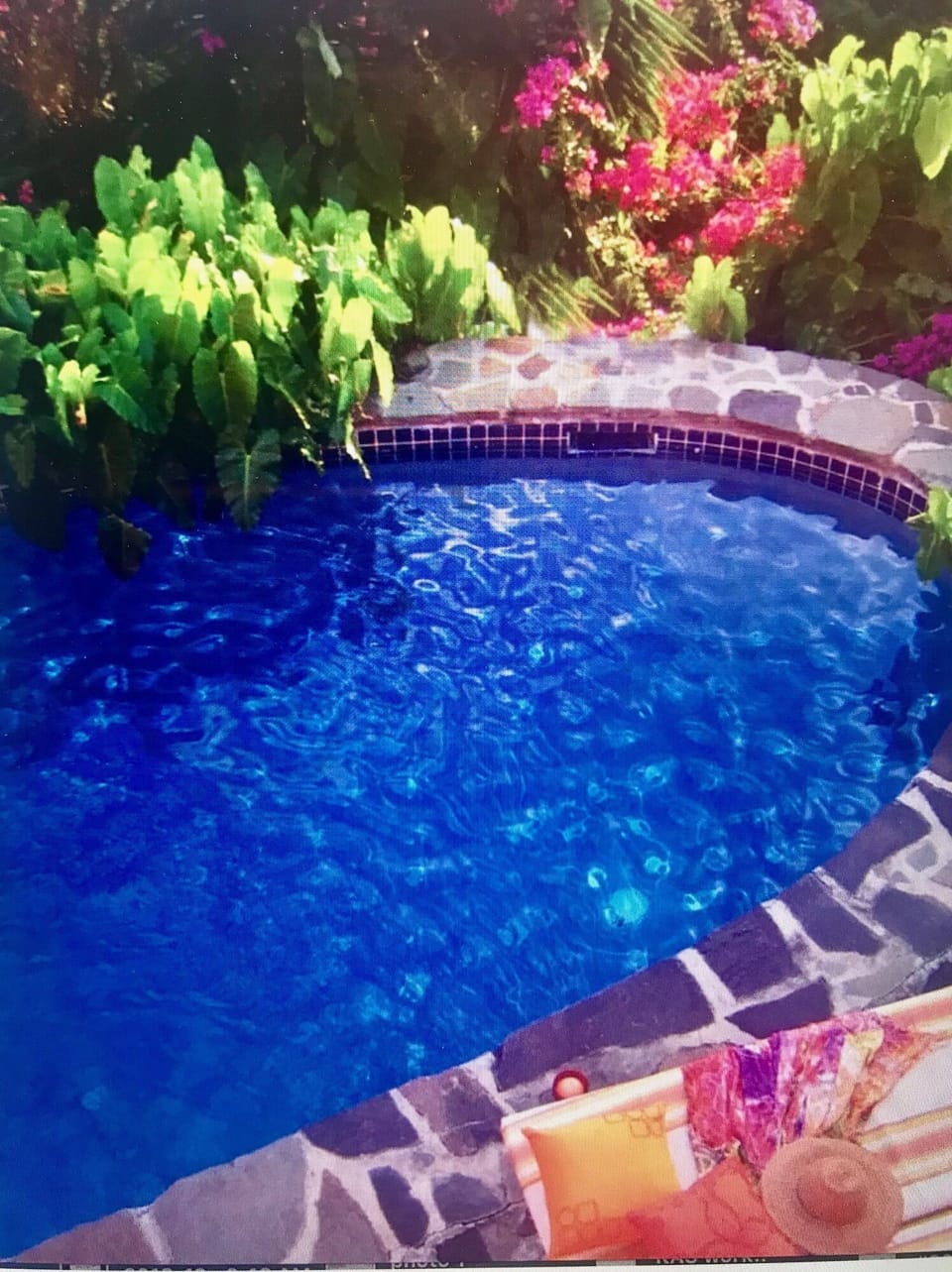 Poolside Tranquility