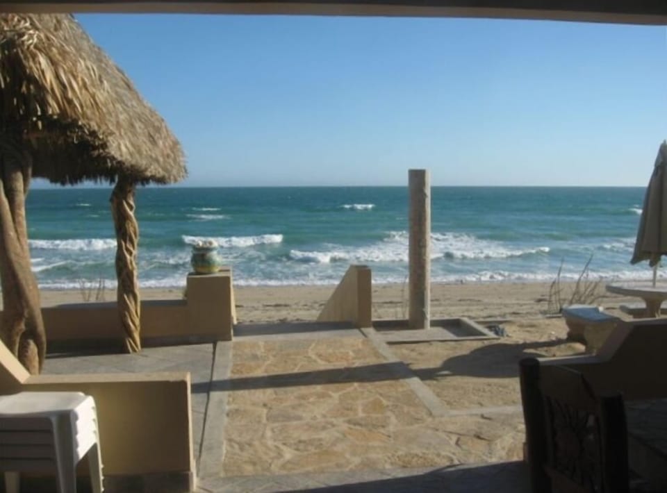 WATCH FOR DOLPHIN & WHALE WATCHING FROM THE PALAPA BAR 