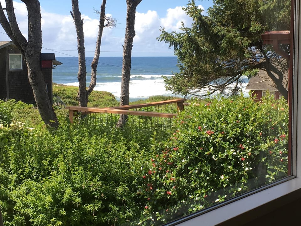 The view from our dining room picture window.