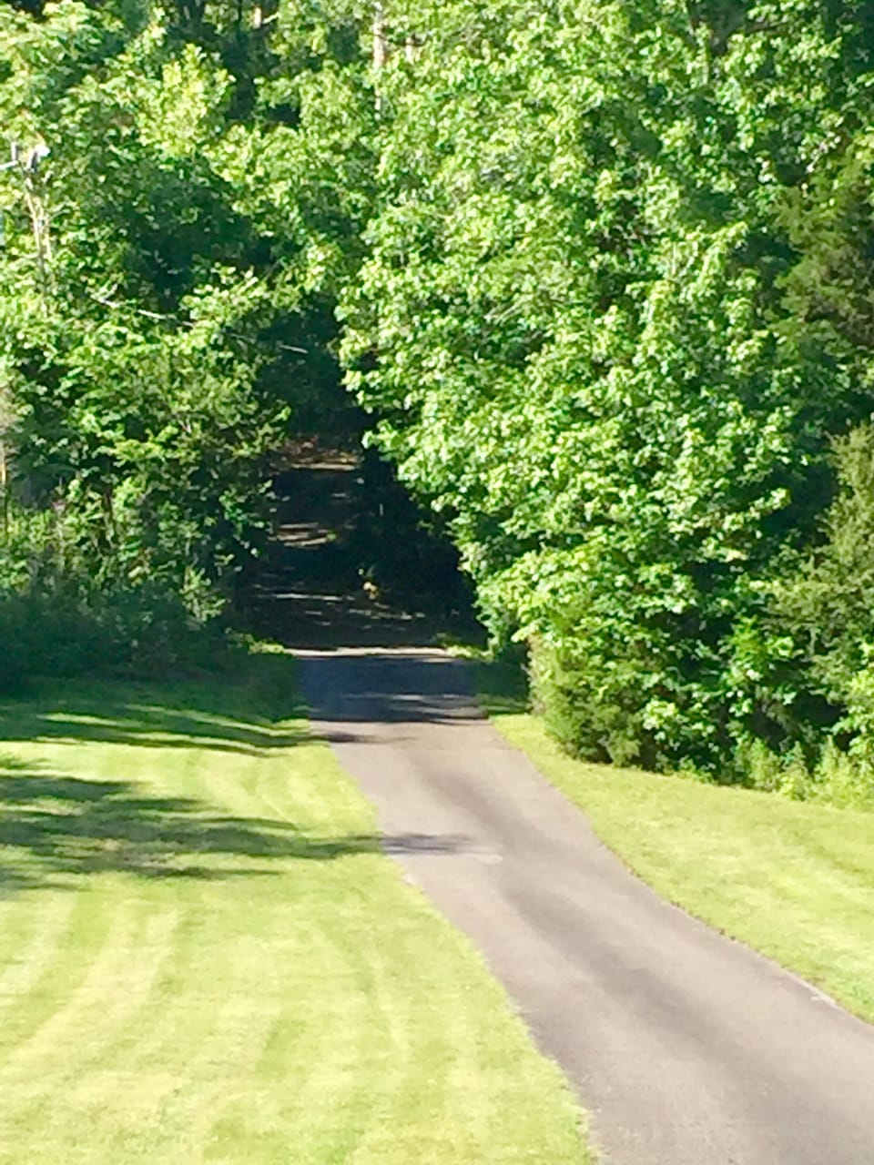 Secluded driveway...street view driving up to Wise Acres...hang on!