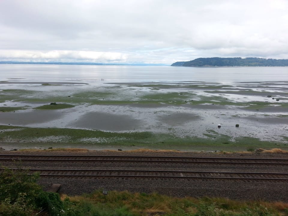 Minus tides mean lots of exploring. Yes, trains go by in our "back yard" daily 
