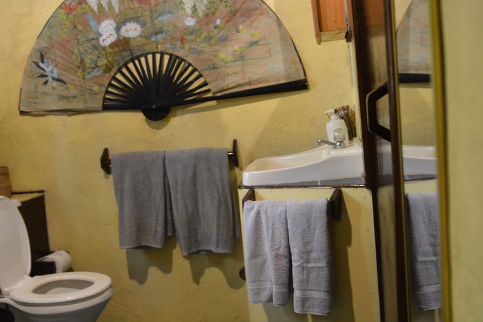 Shower, towels