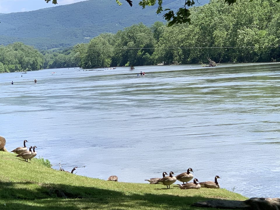 Watch the wildlife!