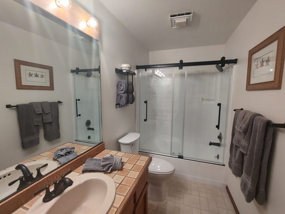 Downstairs Shared Bathroom