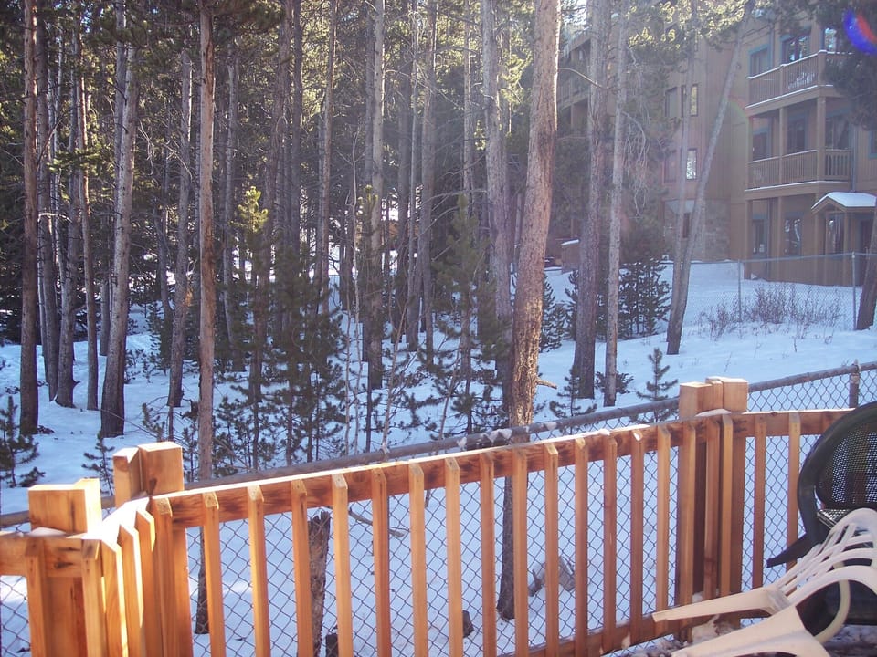 back deck with woods by Carter Park