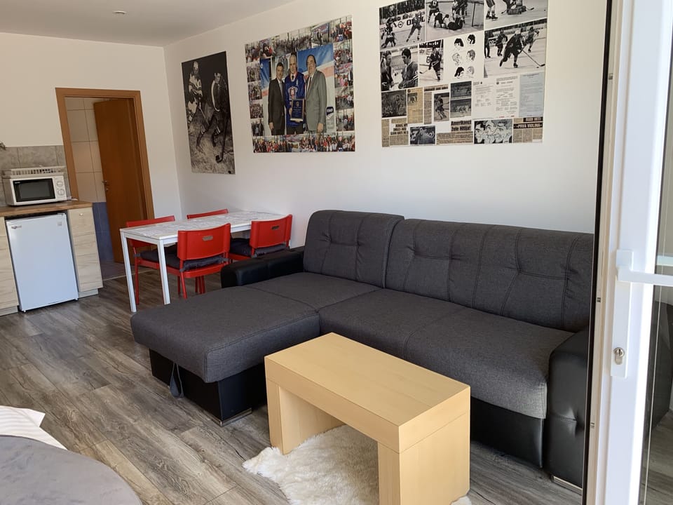 Studio | Living area | Flat-screen TV