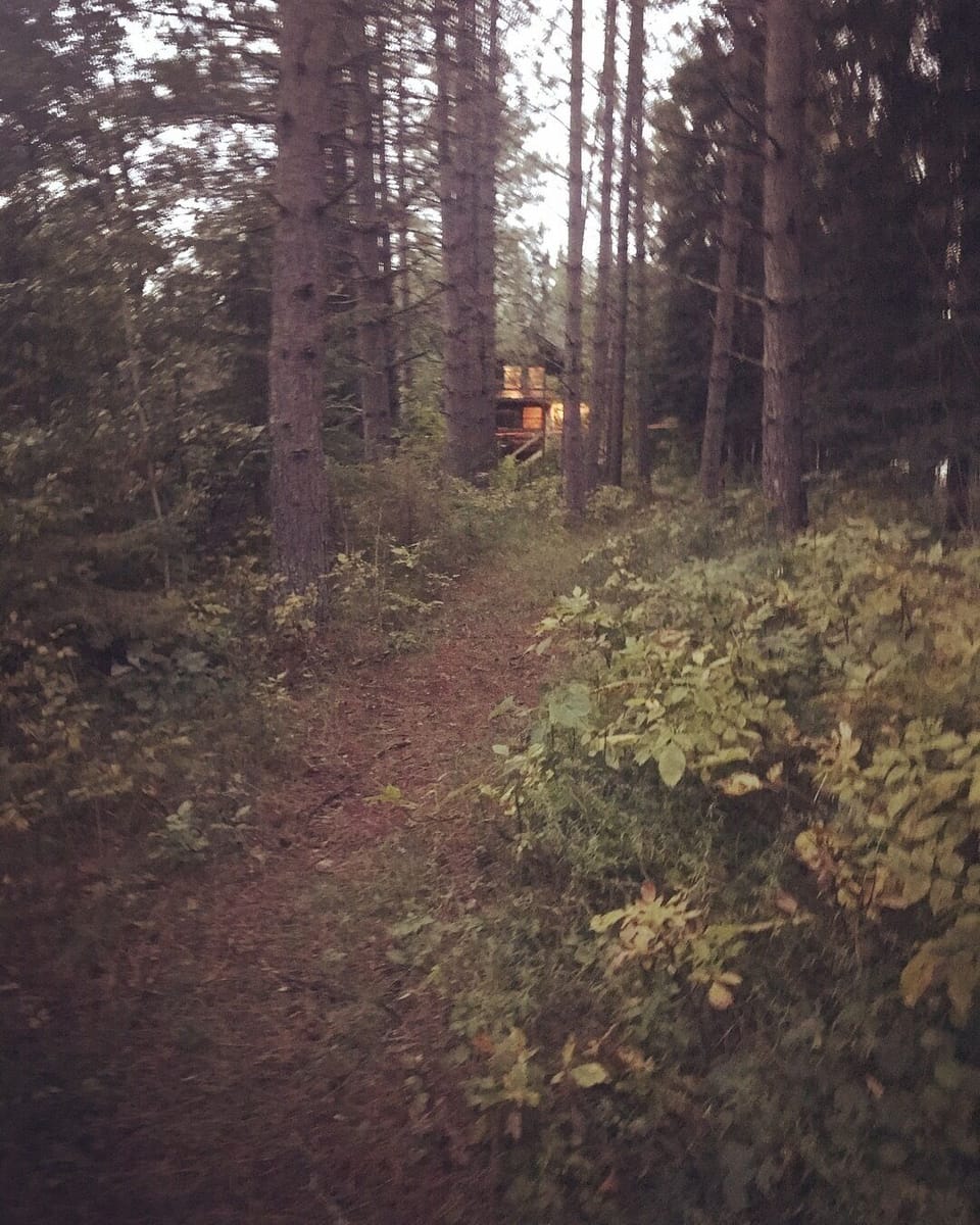 Quiet trail from studio to Cabin