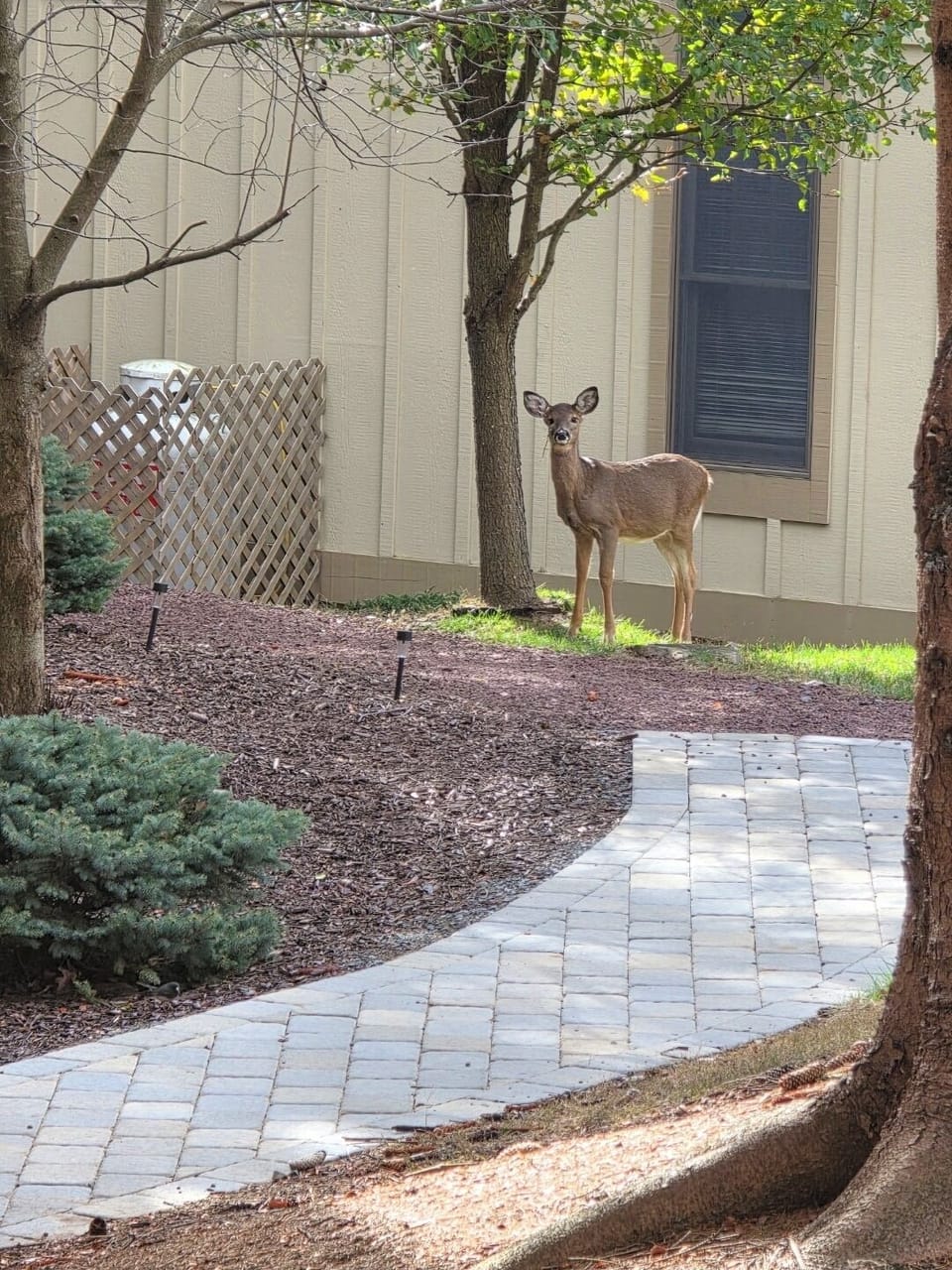 Property grounds