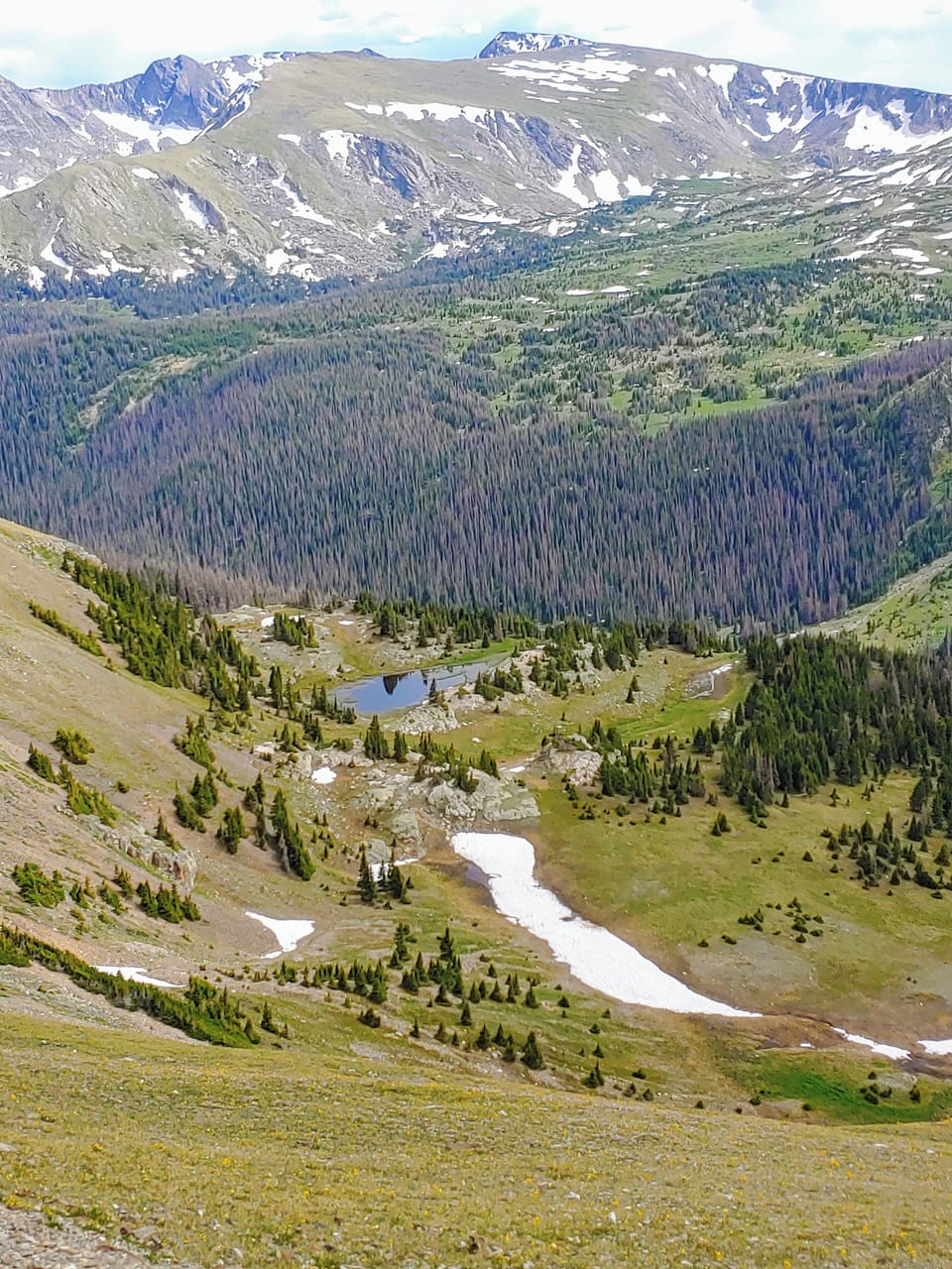 The entrance to Rocky Mountain National Park is 7.8 miles from our cabin. 