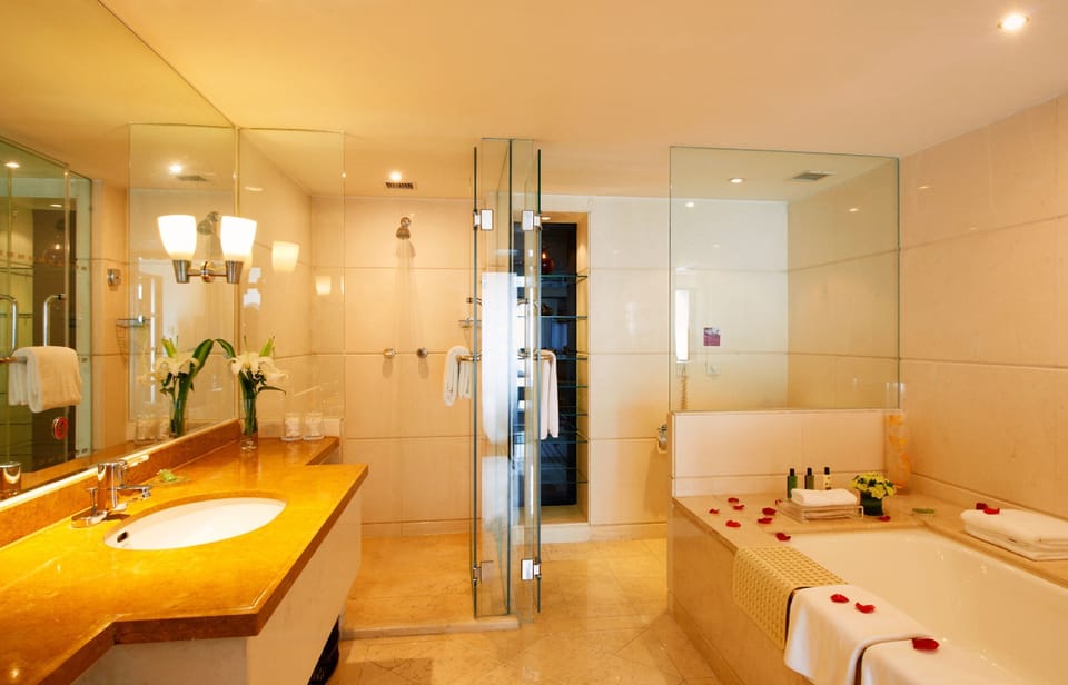 Business Suite | Bathroom | Shower, rainfall showerhead, free toiletries, hair dryer