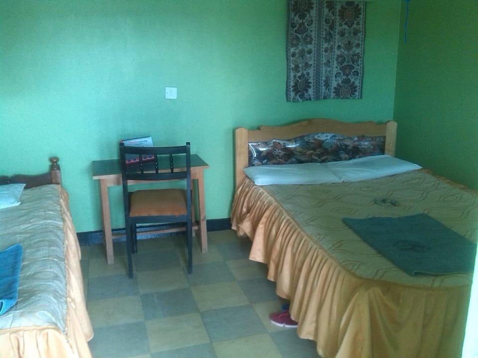 Deluxe Single Room | Desk, free WiFi, bed sheets