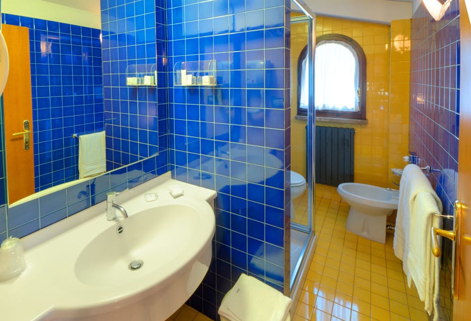Business Double Room | Bathroom | Shower, hair dryer, towels