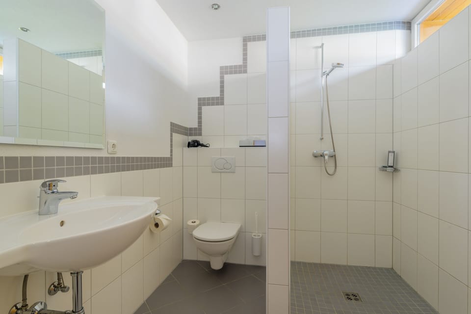 Deluxe Single Room | Bathroom | Shower, hair dryer, towels, soap