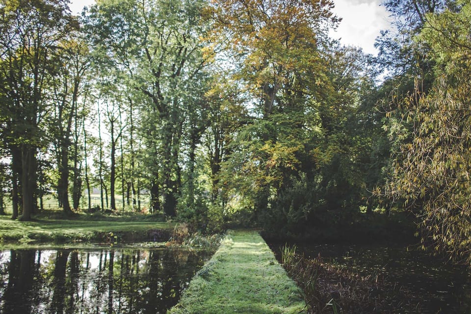 Lake view