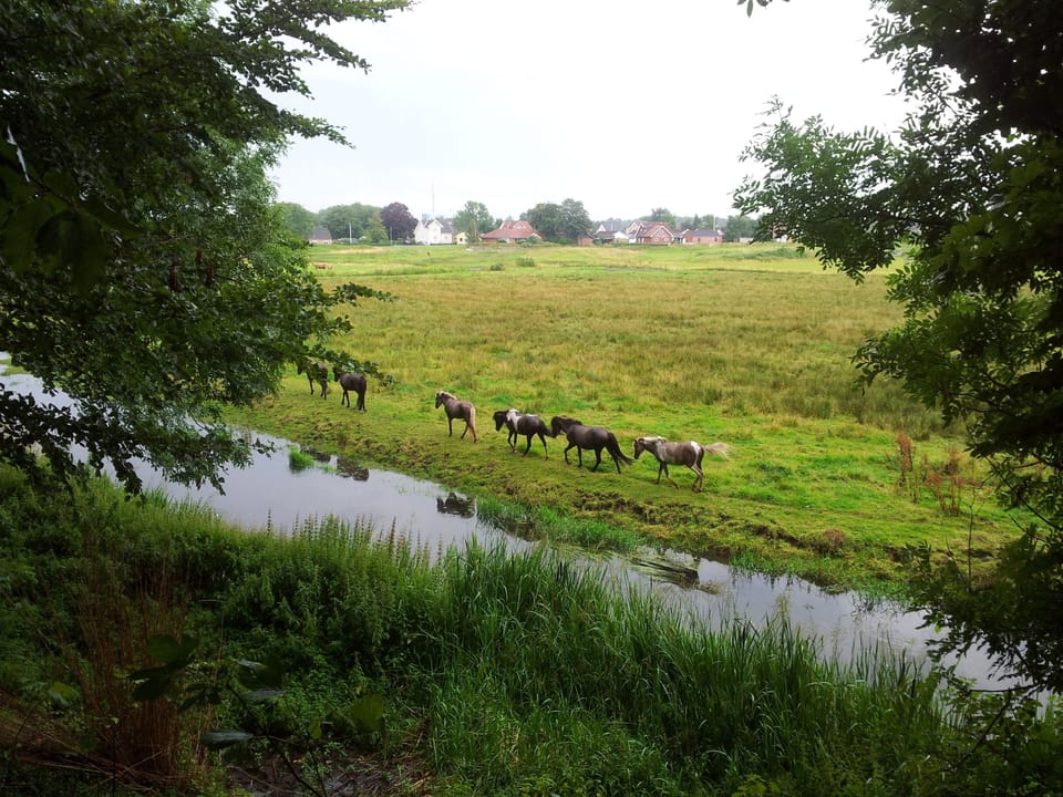 Land view from property
