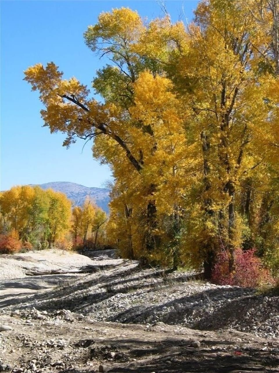 Fall View from backyard.