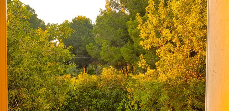 View from property