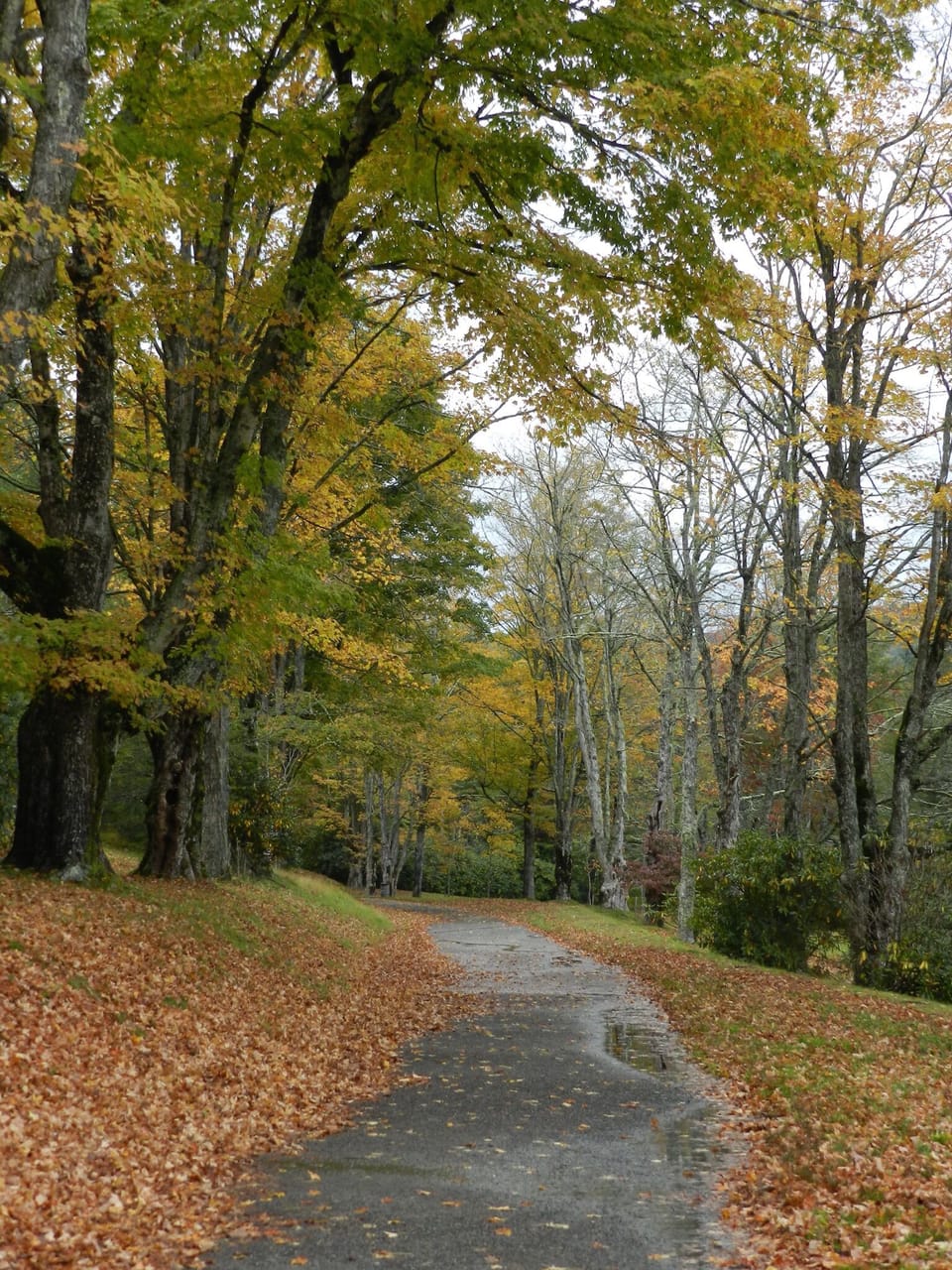 33 miles of walking paths on the Cone Estate  which connect to Bass Lake