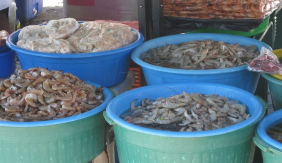 If you love seafood, you will find plenty in town. 