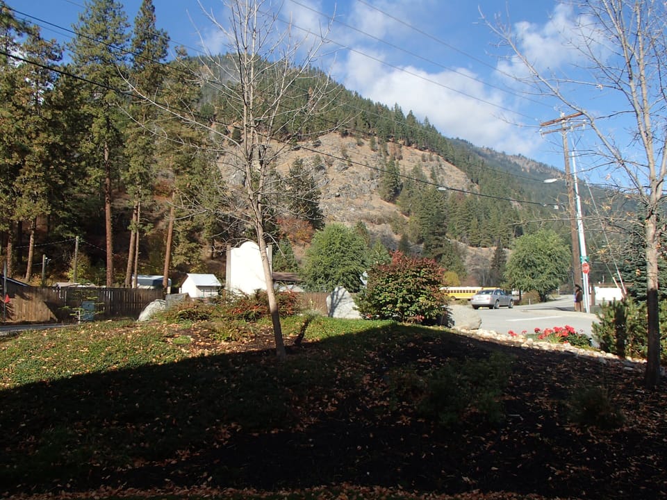 View from the patio
