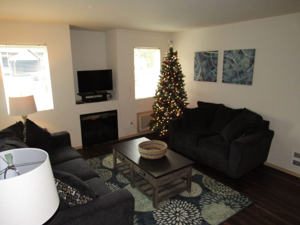 Living area with sleeper sofa
