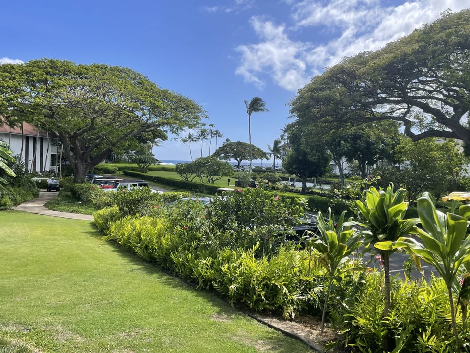 Lanai to Lawn area with Partial Ocean view short walk to beach 