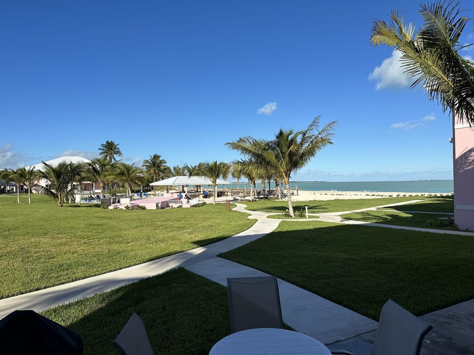 Morning coffee view Dec. 2023