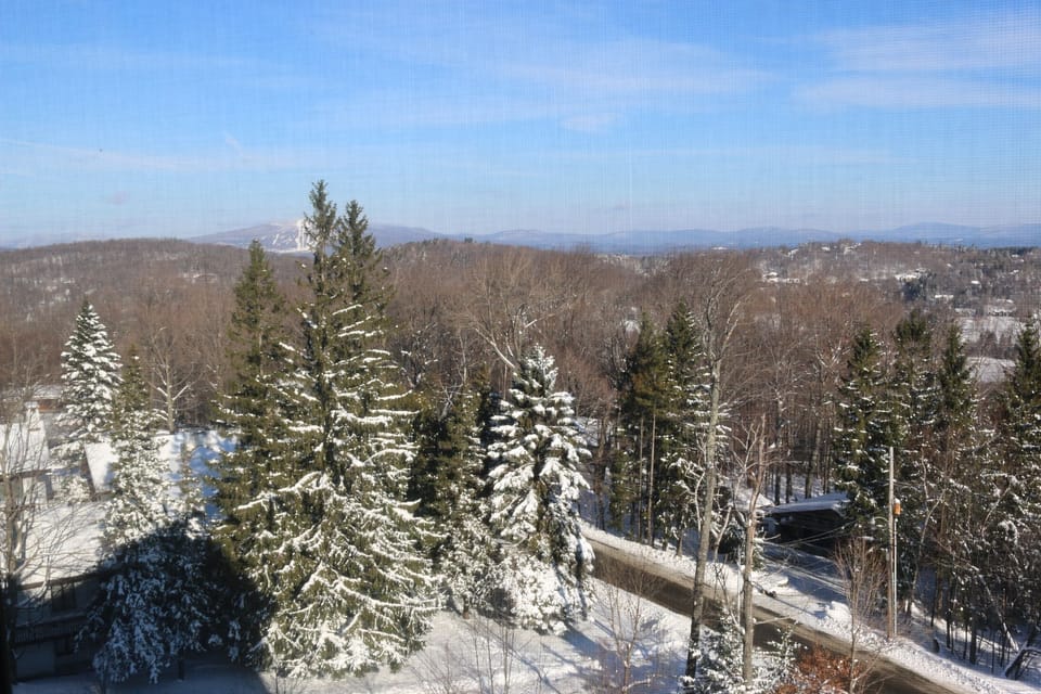 Views from bedroom windows