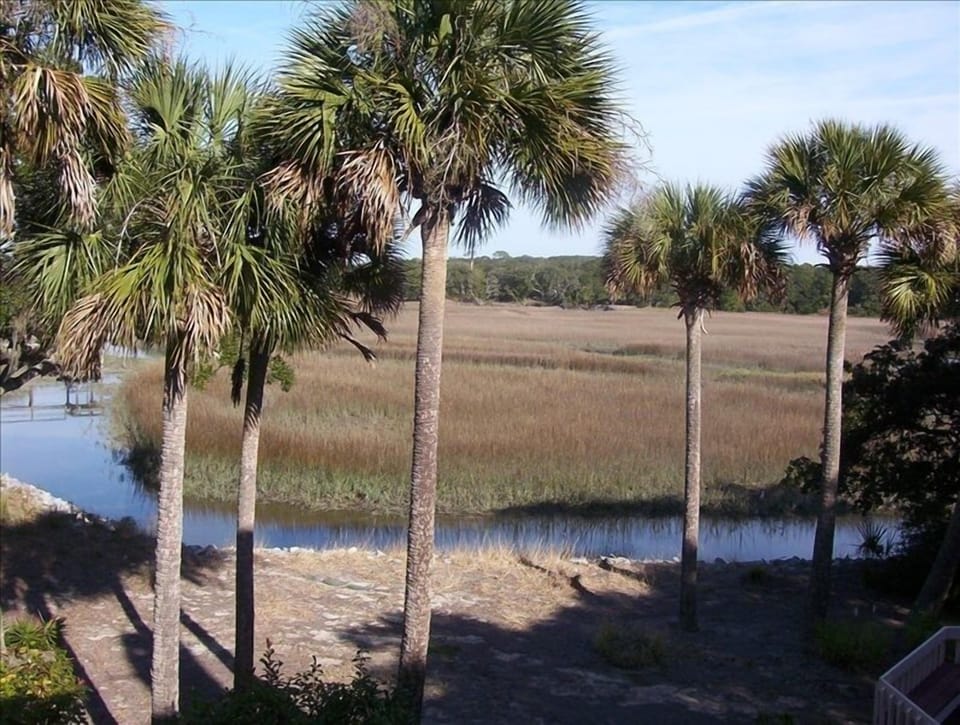 Wake up to beautiful sunrise and marsh views 