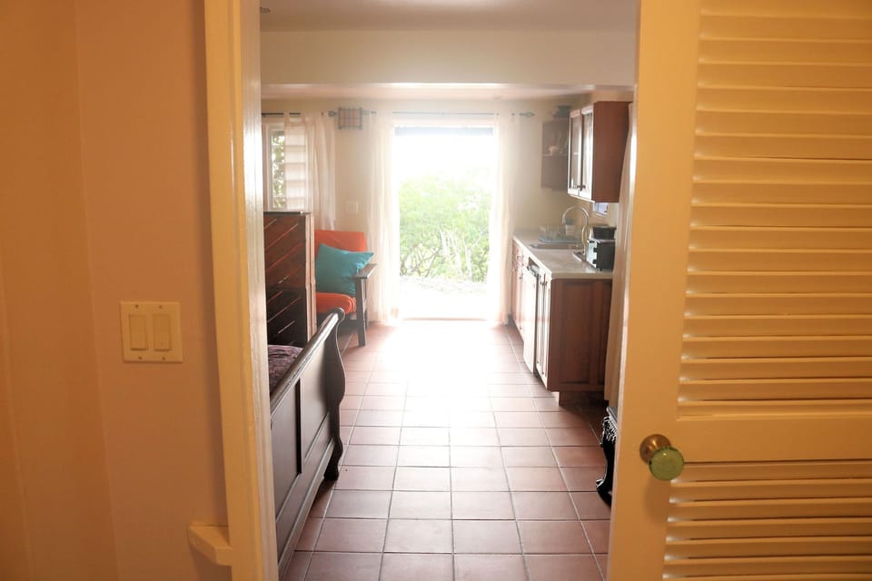 Looking from the towards the entry to the apartment.