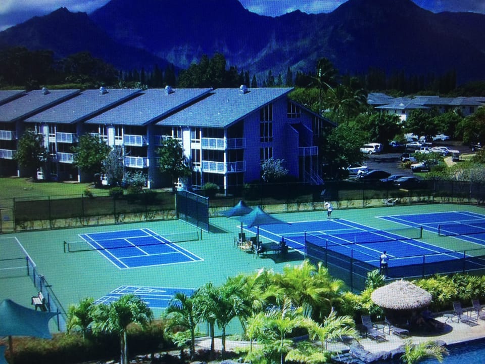 Sport court