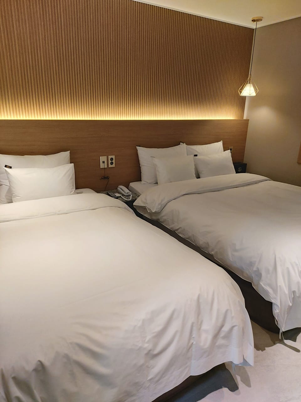 Deluxe Twin Room | Down comforters, memory foam beds, free WiFi, bed sheets
