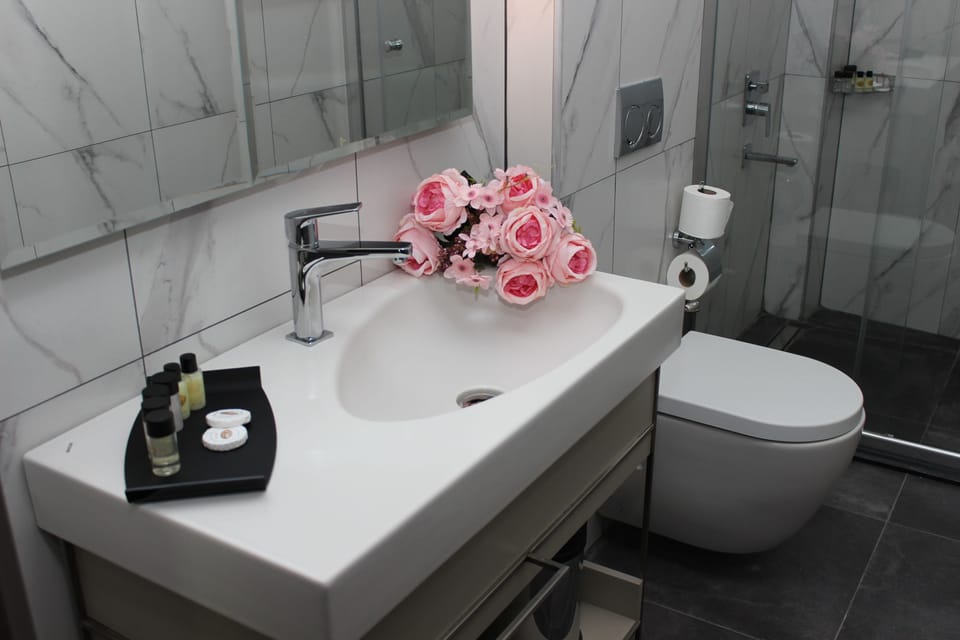 Shower, rainfall showerhead, free toiletries, hair dryer