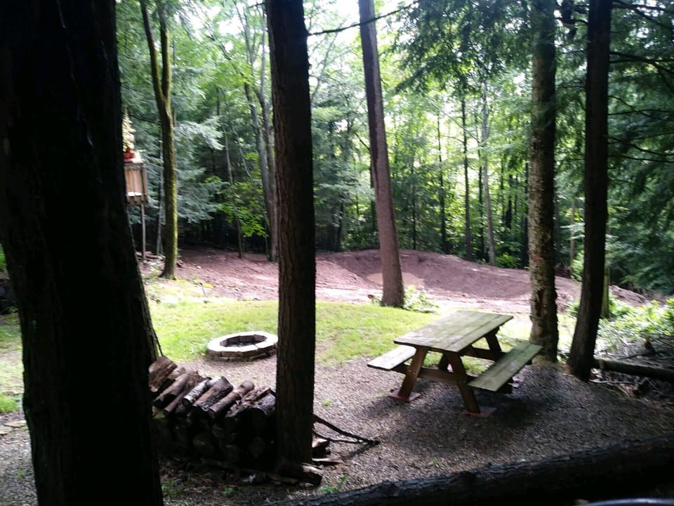 The new pond2019