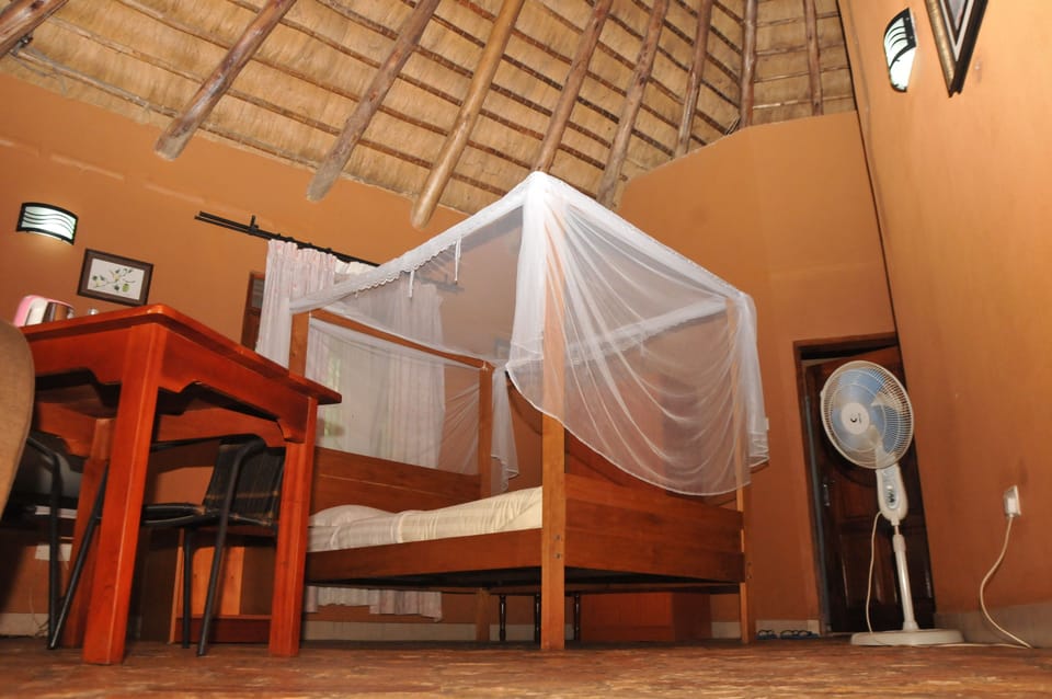 Deluxe Double Room | Desk, rollaway beds, free WiFi, bed sheets