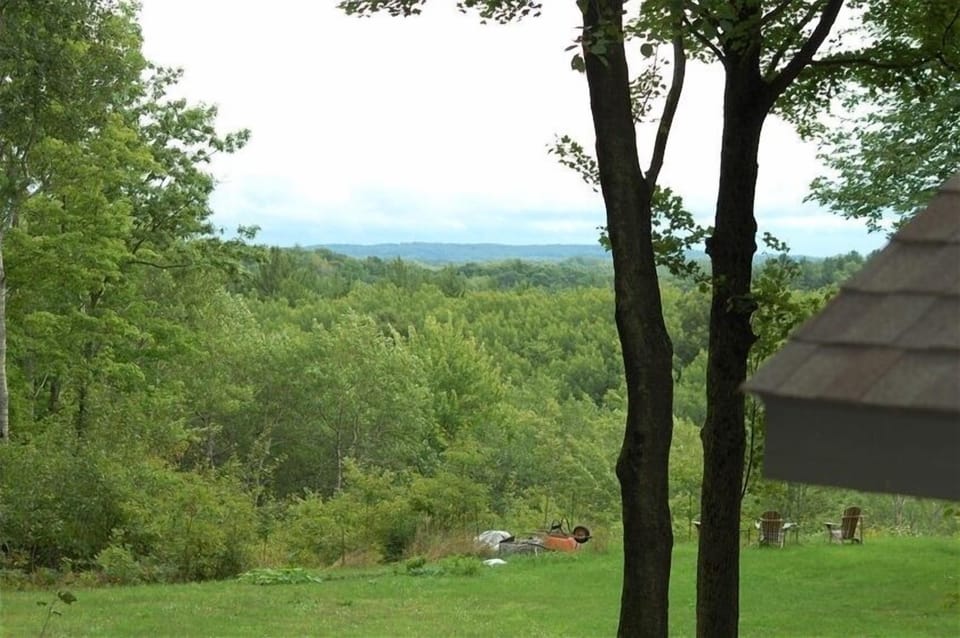 the view from the balcony