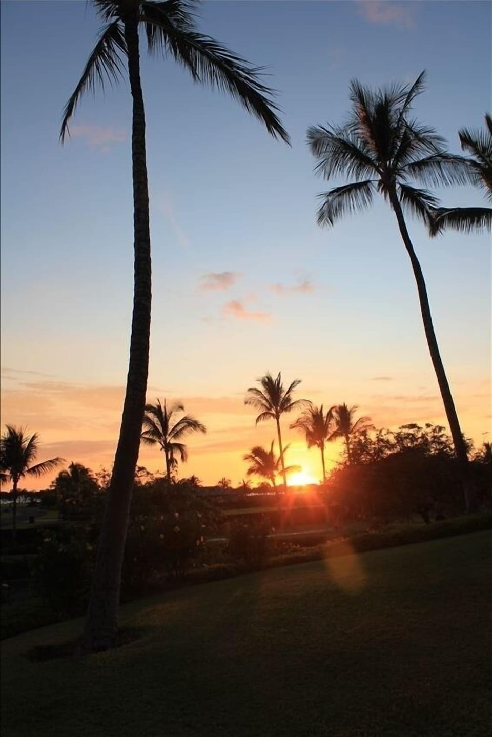 Sunset View From Grass Area Off Our Lanai.  Sit and Relax with a Tropical Drink.