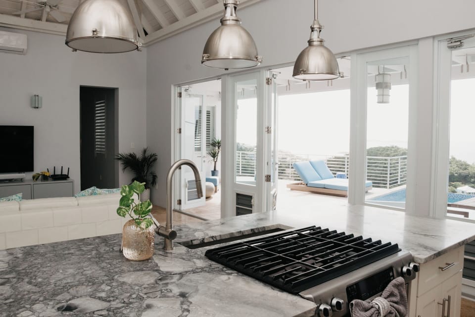 view from kitchen island