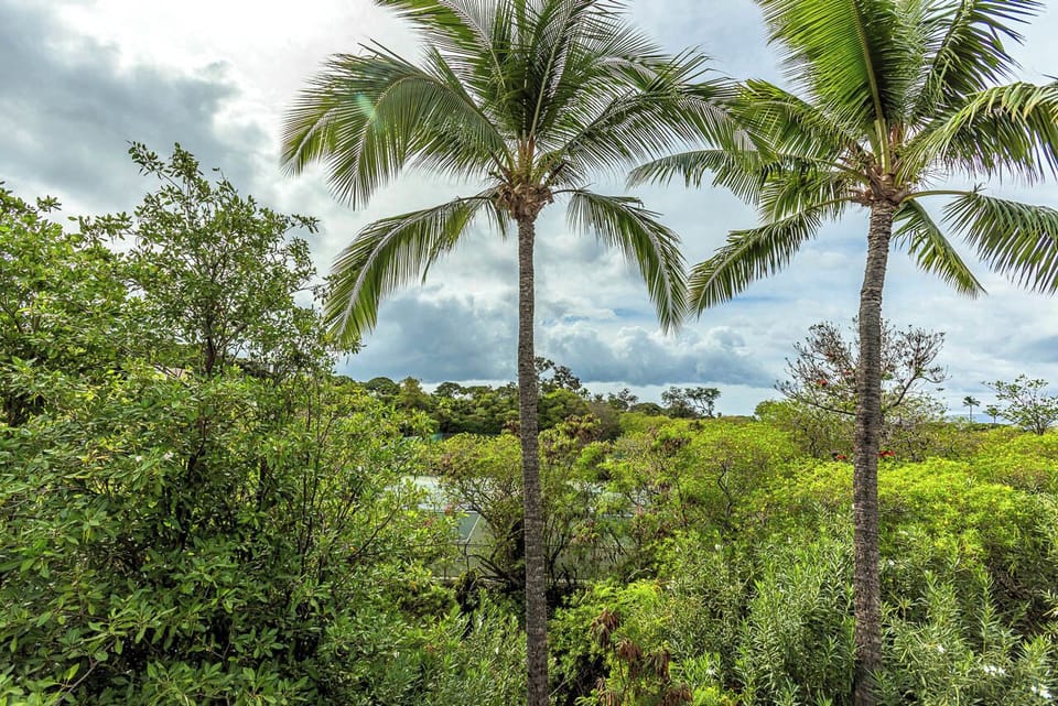 Serene garden views framed by vibrant island greenery