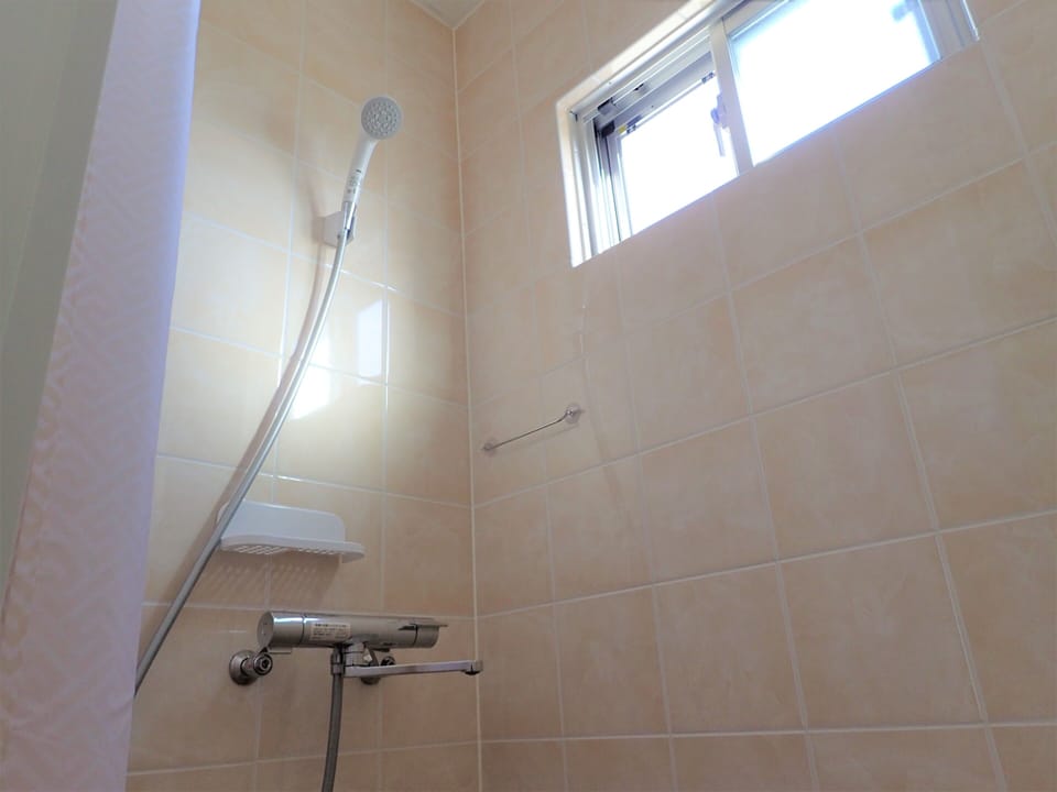 Separate tub and shower, free toiletries, hair dryer, towels
