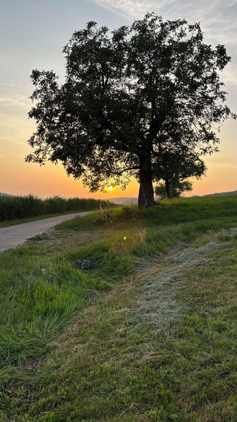 Land view from property