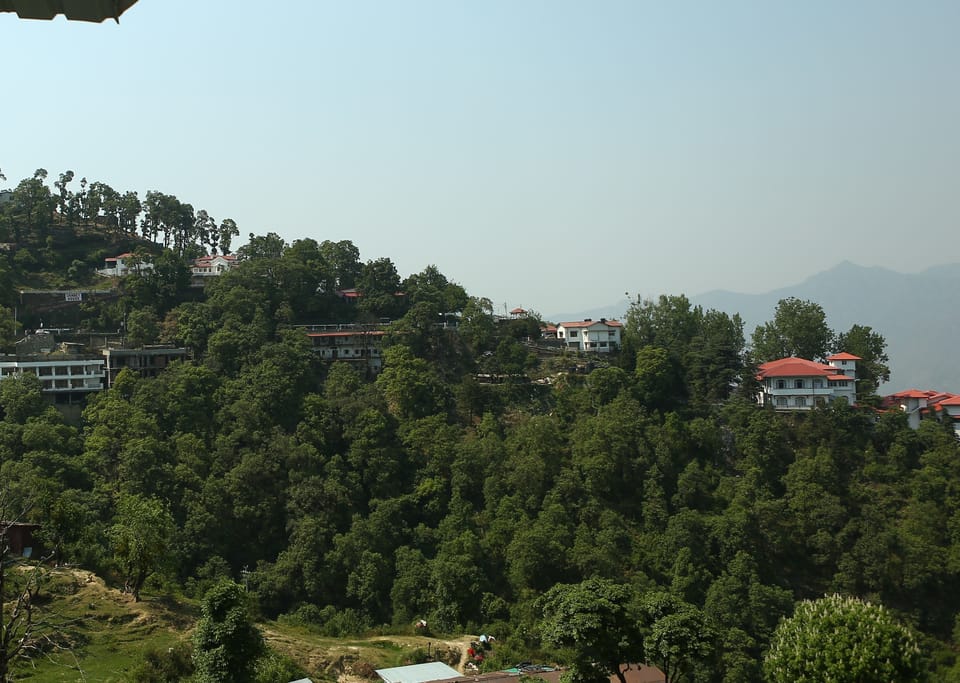 Superior Double Room, 1 King Bed | View from room